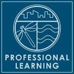 Blue background with Groundswell logo and the words "professional learning" on January 15, 2026